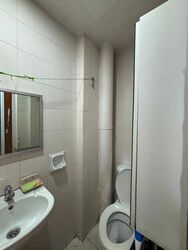 The Springbloom (D19), Condominium #567655481